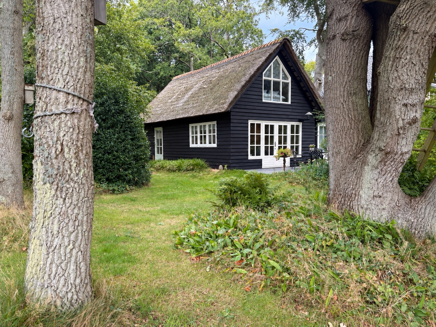 The house tucked among tall trees
