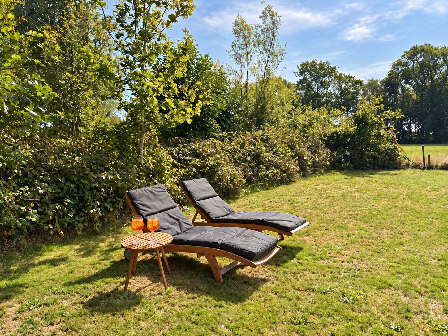 Sun loungers on the garden lawn